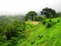 Costa Rica Luxury Homesites: Lagunas Del Mar - Pacific Ocean Views