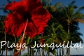 Junquillal Beach, Costa Rica