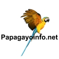 Papagayoinfo.net