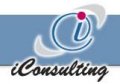 iConsulting