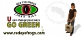 Red Eye FrogX