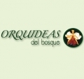Orquédeas del Bosque