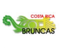 Bruncas