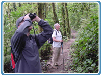 Bird Watching in Costa Rica