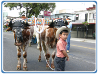 Costa Rica Cultural Life