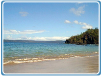 flamingobeach.jpg