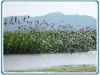 paloverdenationalpark2.jpg
