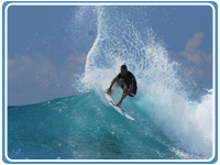 surfcr.jpg