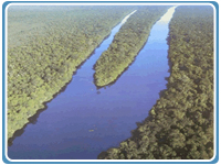 tortuguero3.JPG